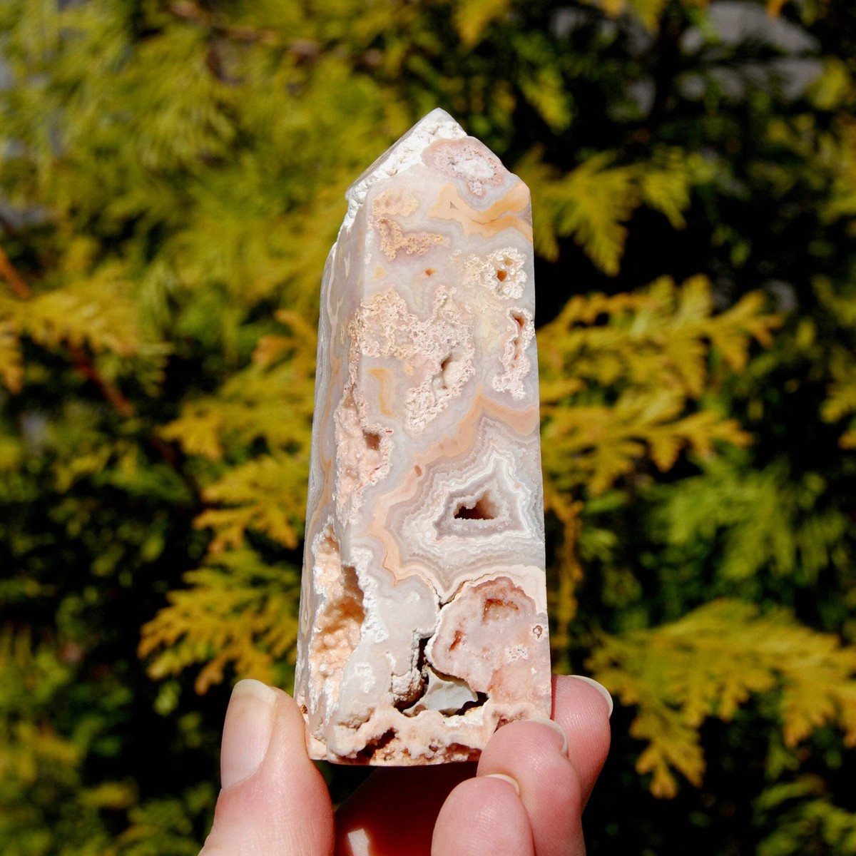 Druzy Agate 　原石　赤箱付き　最終値下げ Druzy Agate 原石 赤箱付き 最終値下げ Druzy Mexican Lace Agate