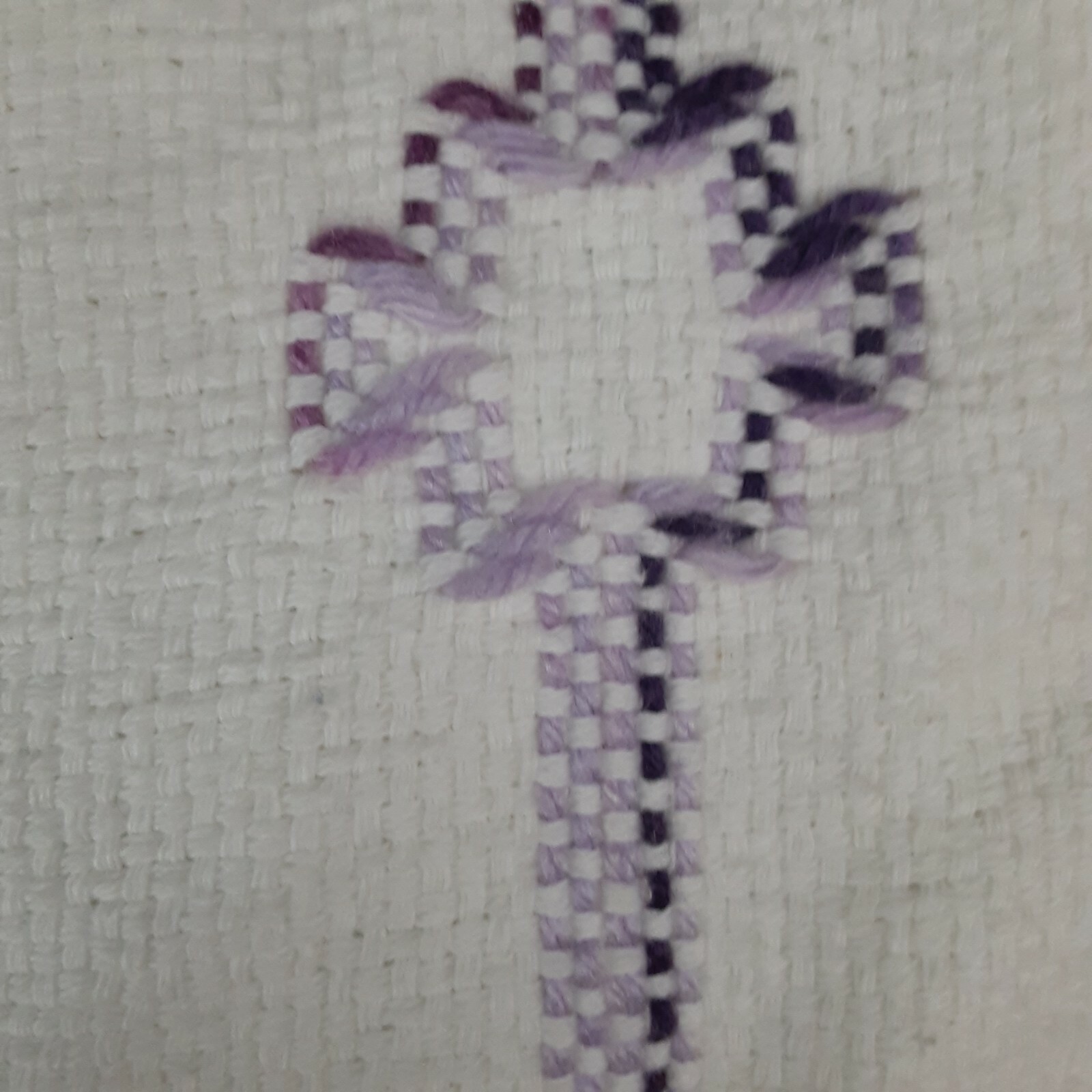 Picture 12 of 12