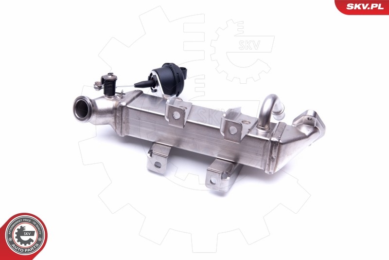 Fits SKV GERMANY 14SKV199 VALVE COOLER EGR 14SKV199 RENAULT LAGUNA II ⭐UK Stock⭐