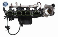 Vaico V10-1950 Gasfeder, Koffer-/Laderaum