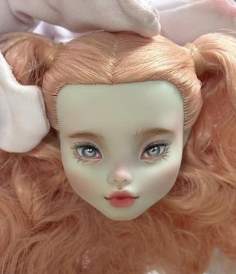 OOAK Monster High doll Repaint Custom Art Doll Head ~Only Head～Hair Rerooted