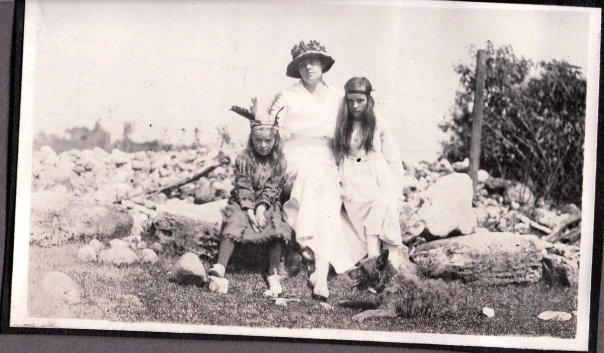 Dog Indian Costume