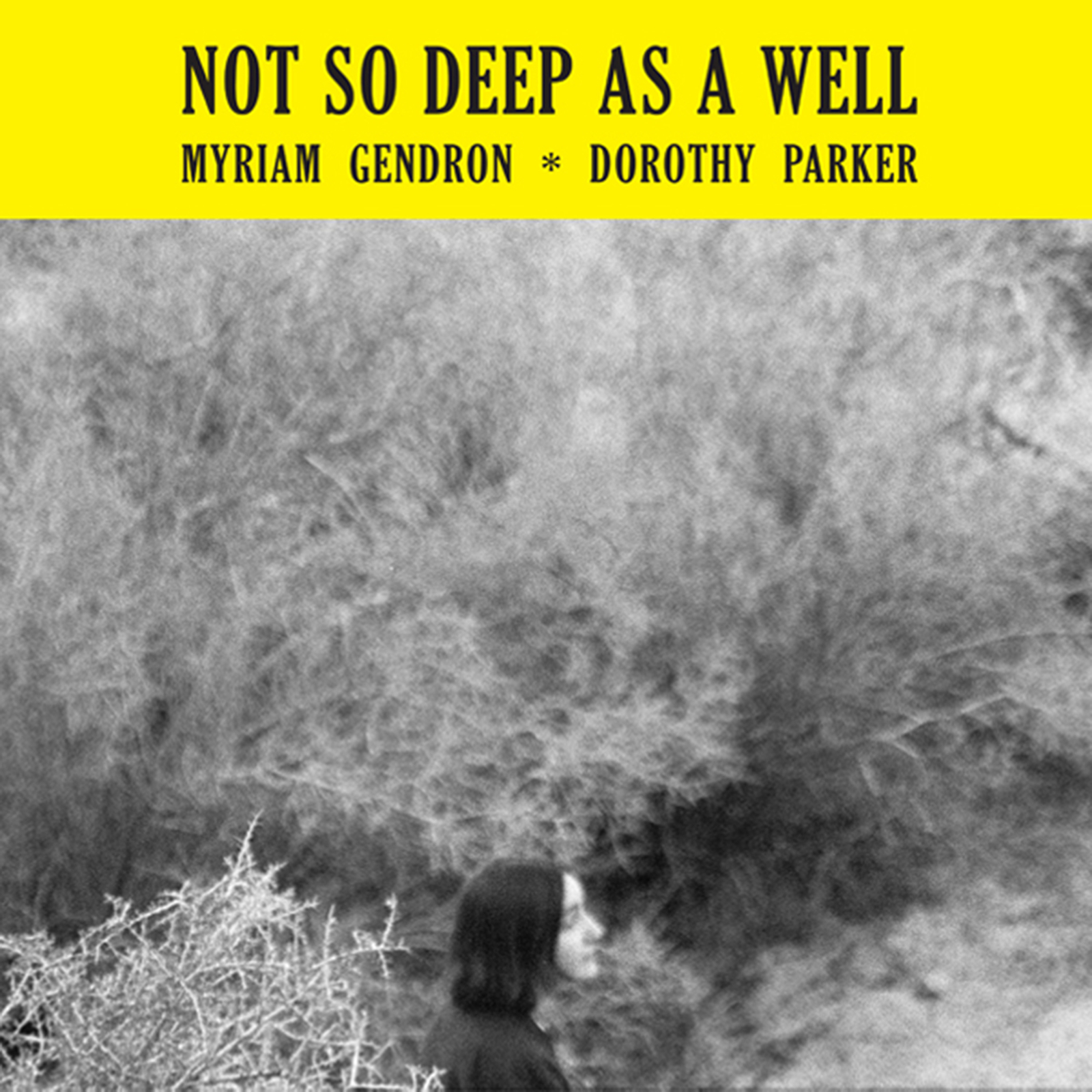 Myriam Gendron Not So Deep As a Well (Vinyl LP) 12" Album