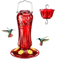 Kingsyard Mangeoires à Colibri en Verre pour Extérieur à Suspendre, Rouge 