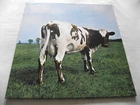 PINK FLOYD ~ ATOM HEART MOTHER ** 2016 Reissue PINK FLOYD LP MINT-