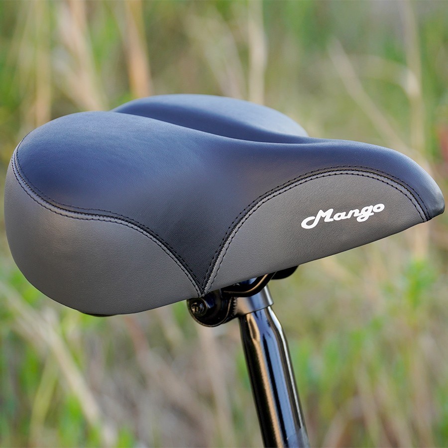 Mango Longboard Speed Ladies Aluminum Beach Cruiser Rust Free