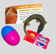YOWIE Pygmy Blue-tongue Lizard Animals with Superpowers Collection 2.25" Figure