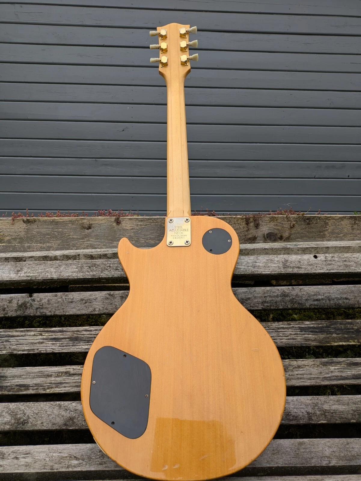 Picture 5 of 6