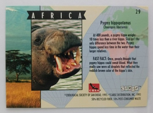 1993 CARDz San Diego Zoo Trading Cards (Pick Your Card) - Picture 59 of 221