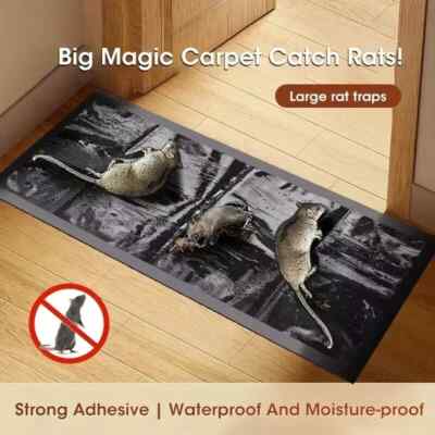 6Pack Medium Catcher Rat Glue Trap Rodent Board Mice Indoor Super Sticky Mouse
