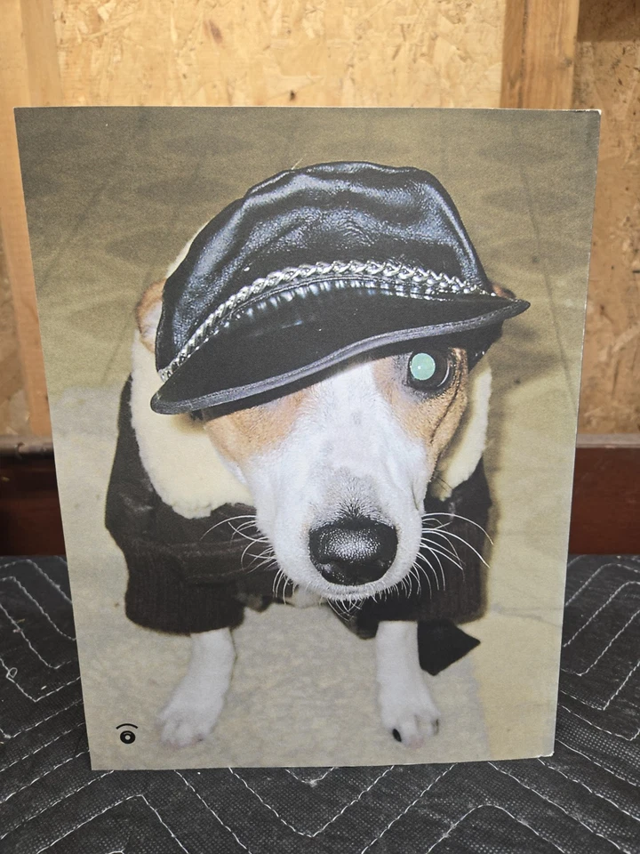 Look-Look Magazine Issue 1 2006 - Young Photographers Zine - Art & Indie Foto 2 de 2