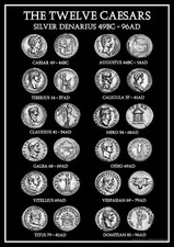 12 Twelve Caesars Silver Denarius Coin Poster Type 2