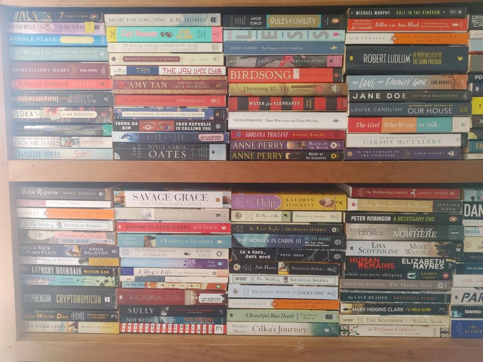 RANDOM MIX Lot of 10 Popular Fiction Paperback Books MYSTERY Suspense HISTORICAL Foto 2 de 4