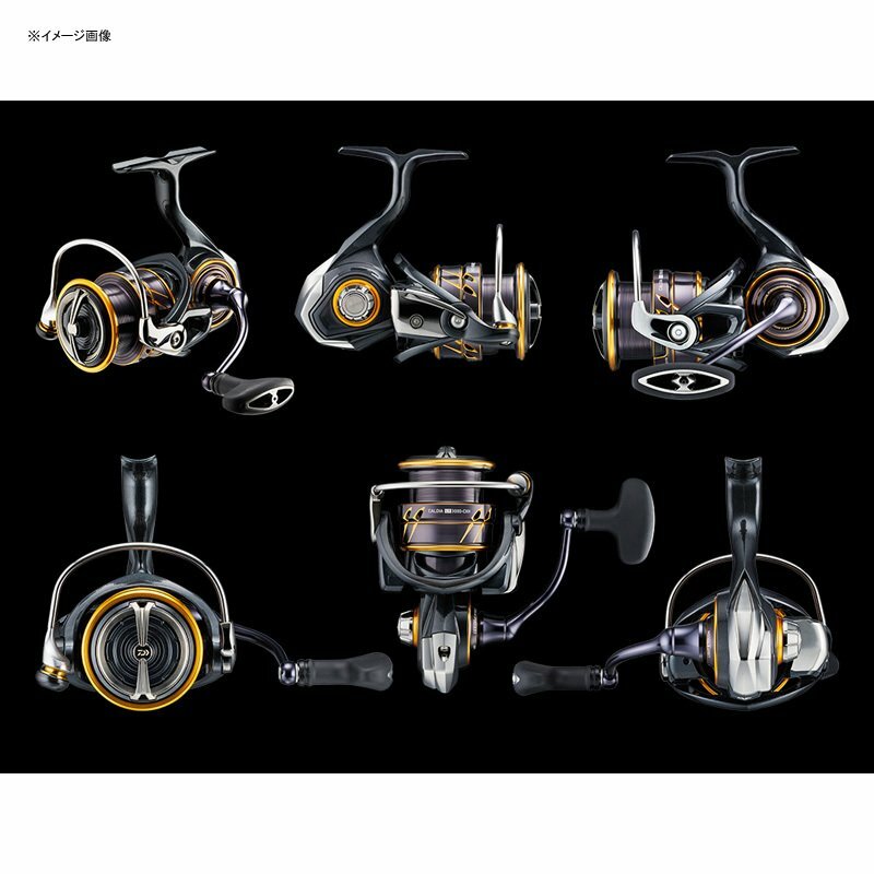 Daiwa Spinning Reel Daiwa 21 Cardia LT3000-XH | eBay