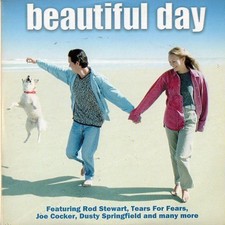 Beautiful Day (CD, 2004)