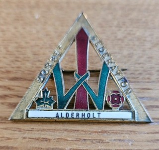 Alderholt Dorest WI Badge