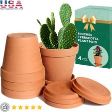 6 Inch Terracotta Clay Pots W/ Saucer Drainage Hole Indoor Outdoor Plants 4 Pack