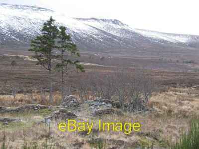 Photo 6x4 Ruin beneath Ben Rinnes Benrinnes Wood One of several ruins amo c2008