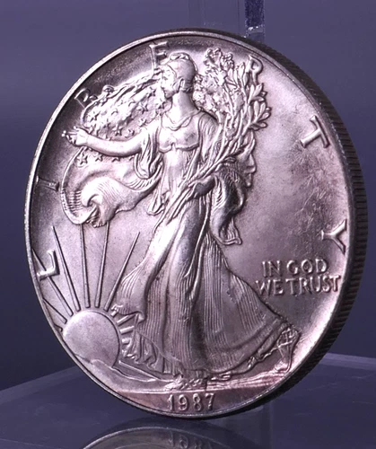 1993 American Silver Eagle $1 One Ounce .999 Fine Silver Bullion Coin Eagle 1oz
