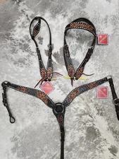 Reinsman Charmayne James Black Gator Tack Set (Breast Collar & Headstall)