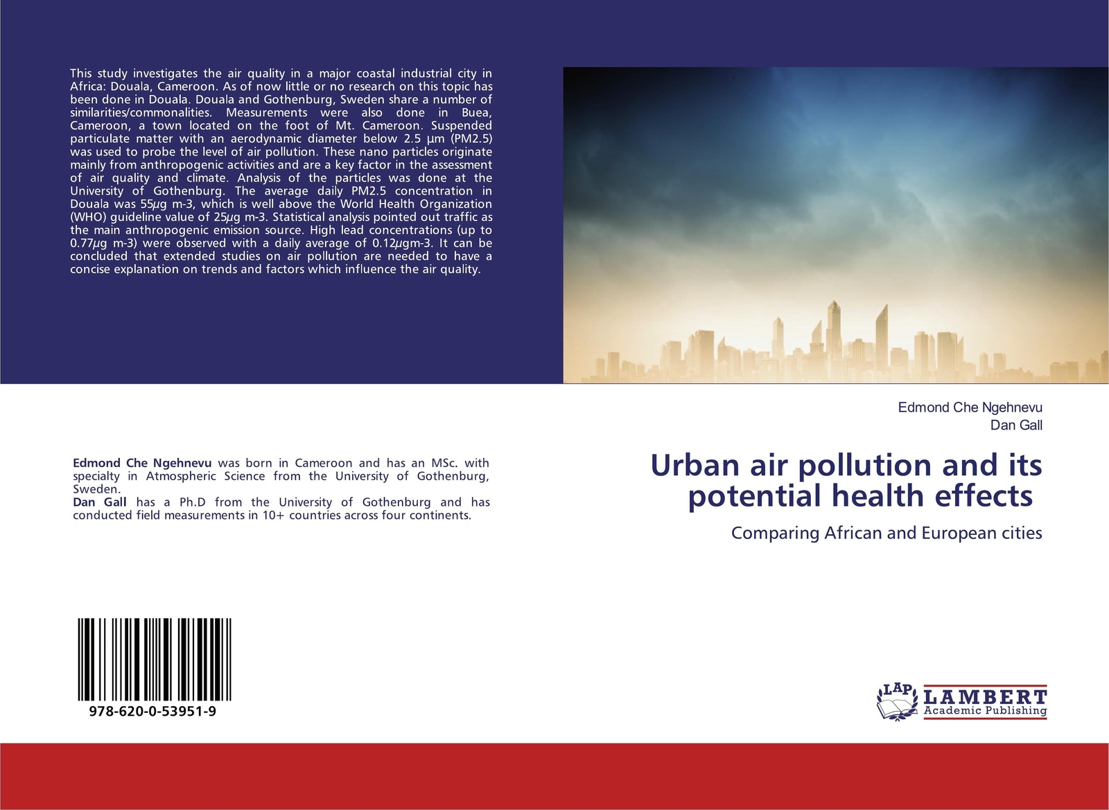 Thumbnail - Urban Air Pollution And Its Potential Health Effects | Ngehnevu (u.