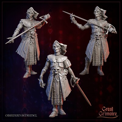 Obsidian Sentinel Death Cultist Fighter Rogue Necromancer Miniature | D&D DnD