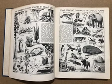 NICE Vintage 1943 Illustrations Of Nature & Living Things In Hard Cover Book