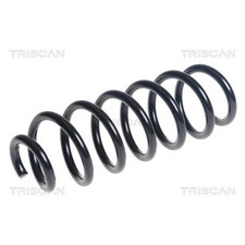 Triscan Feder Hinten für Nissan Qashqai