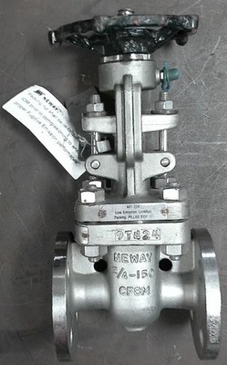 NEWAY ¾  150 CF8M, FLANGED RAISED FACE GATE VALVE 