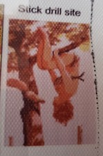 5D DIY Full Round Drill Diamond Painting Tree Climber Meets Mr. Squirrel 40x30cm