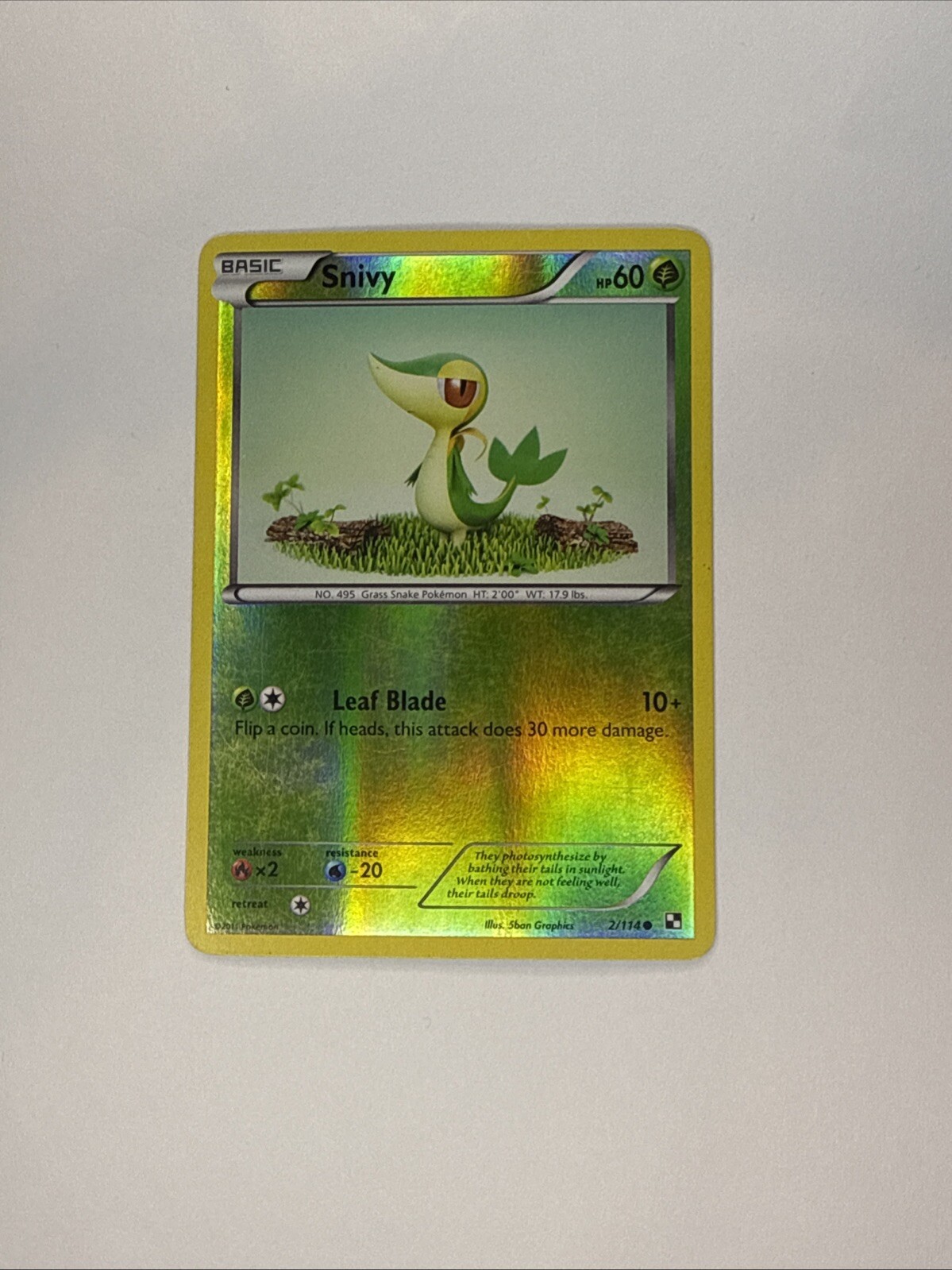 Snivy 2/114 Black & White Reverse Holo LP