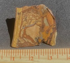 deschutes-jasper-unpolished-fine-small-slab-365-grams-or-13-ozs