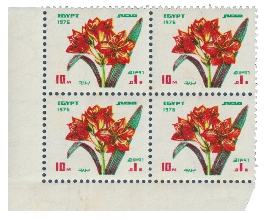 En excelente estado nunca abisagrado/estampillada sin montar o nunca montada Flores Estampillas Egipcio