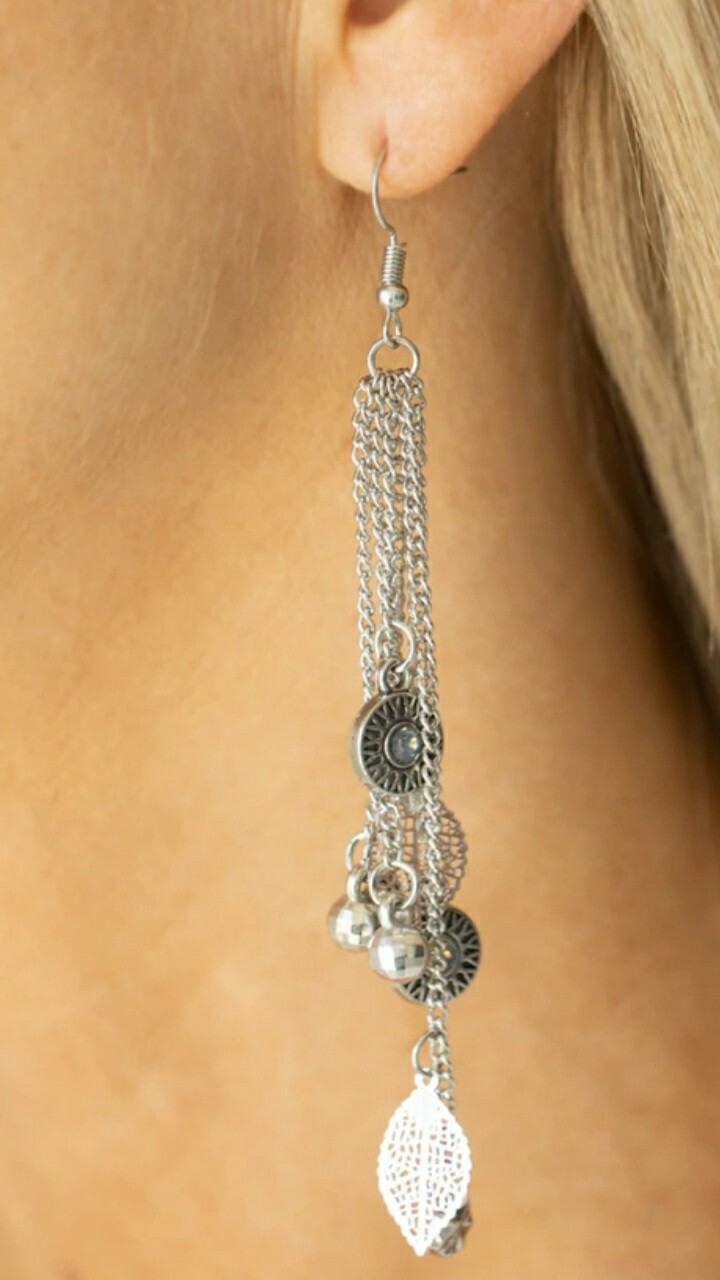 Paparazzi Jewelry Earrings 🗣A Natural Charmer Silver eBay