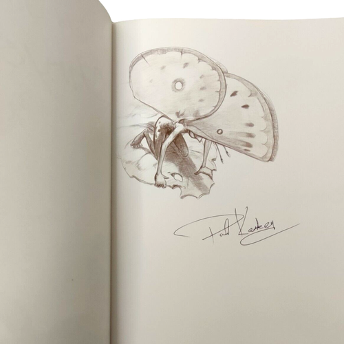 A Field Guide to Chrysalies: They're Not Faeries Chrysalis Butterfly Paul Keskey - Imagen 2 de 10