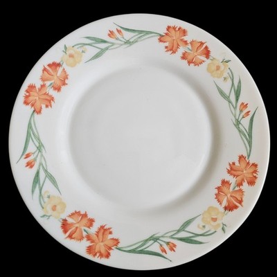 Arcopal Salad Dessert Lunch Plate Wildflowers REPLACEMENT France NO Chips 7.75''