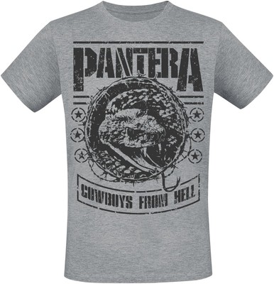 Pantera T-Shirt Herren CFH Stencil Snake grau meliert Band-Merch, Bands