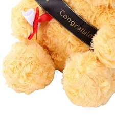 Graduation Bear Plush Toy Teddy Bear Stuffed Animal Soft Graduation Gift Lig AP9