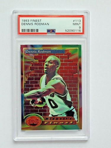 1993 Dennis Rodman #113