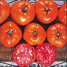 Italian Heirloom Tomato Seed