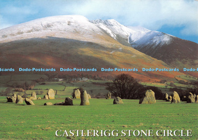 D124538 Castlerigg Stone Circle Lake District Keswick Salmon
