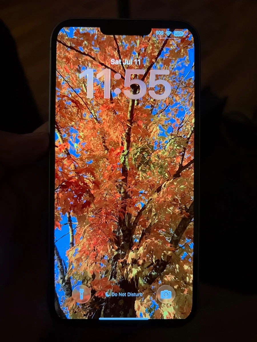 Apple iPhone 14 Plus Unlocked for Sale - Shop New & Used Cell