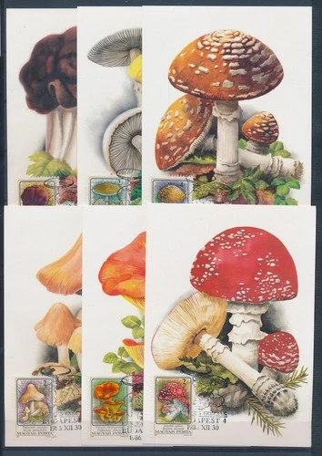 XE59713 Hungary 1986 mushrooms fungi plants maxicards used