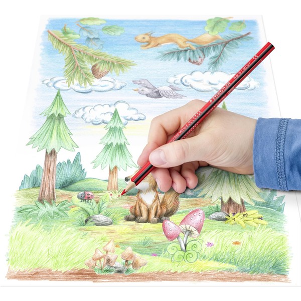 Staedtler Noris Colour Buntstifte 12Er Set Ergonomisch Bruchfest-image