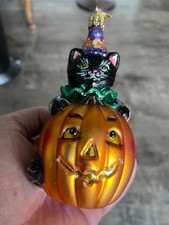 Old World Black Cat on Jack o Lantern