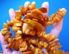 Natural Baltic Amber gem Multi-color Beads Necklace medicine jewelry 107g 535 Ct
