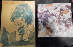 Darling in the Franxx Art Book | eBay