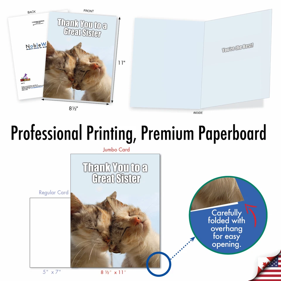 1 tarjeta de felicitación grande y divertida de agradecimiento - Gratitud a una gran hermana J9111 Foto 2 de 4