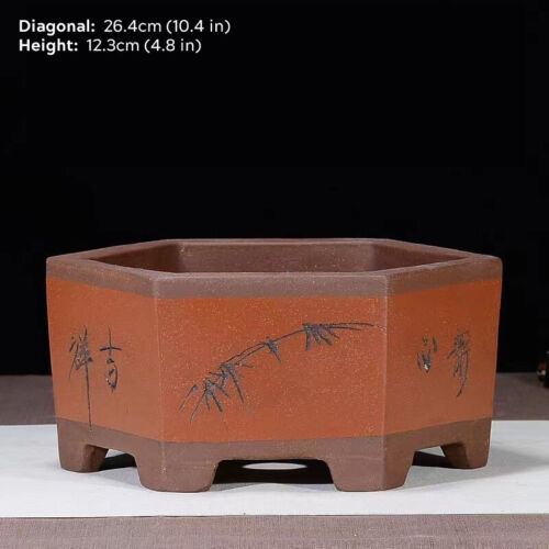 Maceta Bonsai China Clásica 10" Grande Octágono Hexagonal Púrpura Arena Marrón Maceta - Imagen 9 de 20