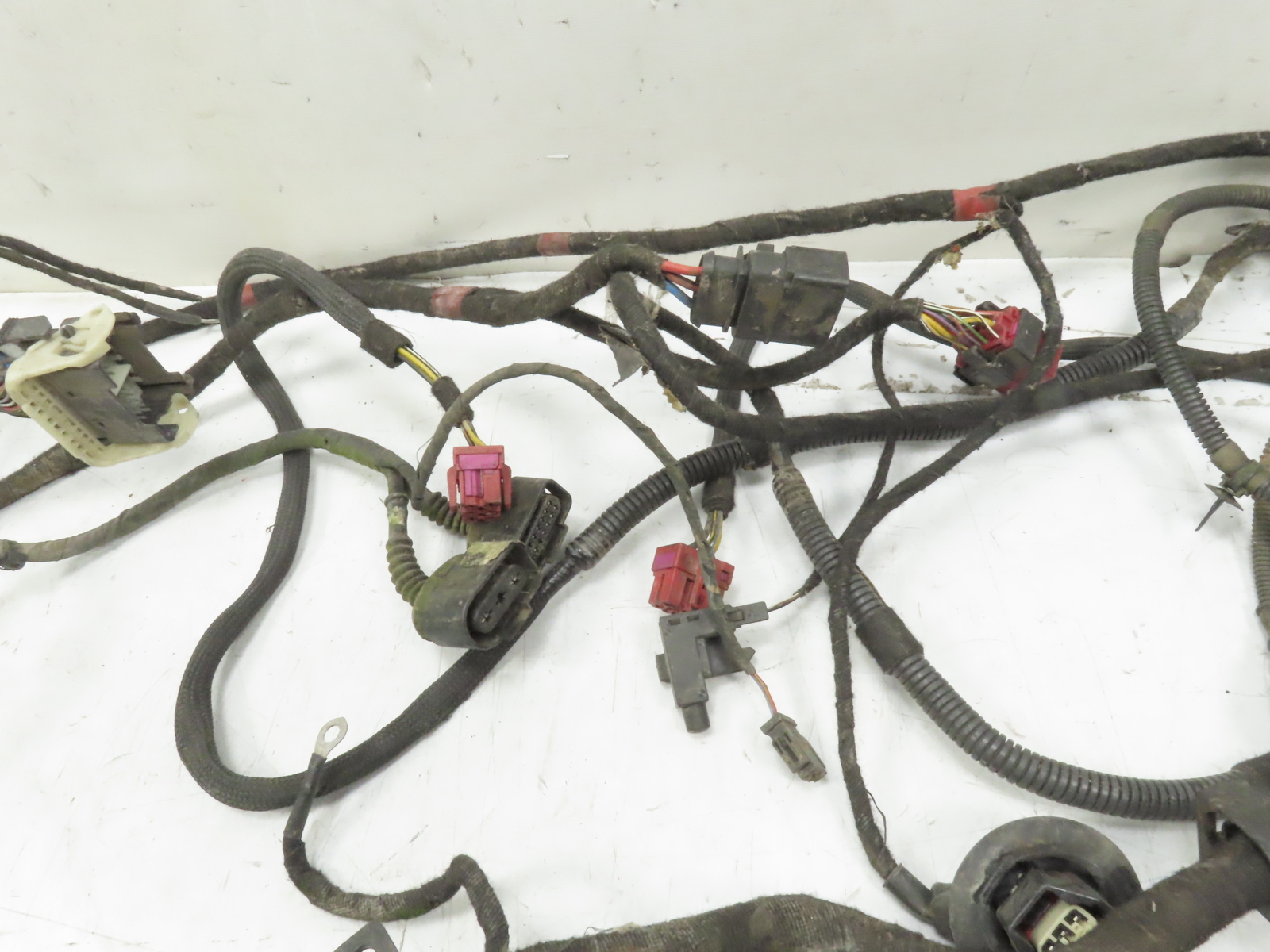2004 Lamborghini Gallardo Wire, Wiring Main Body Harness & Plug Loom